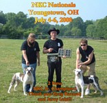 American Bulldog Breeder in  Michigan