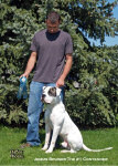 American Bulldog Breeder in  Michigan