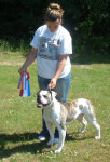 American Bulldog Breeder in  Michigan