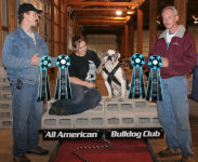 American Bulldog Breeder in  Michigan
