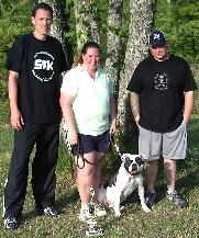 American Bulldog Breeder in  Michigan